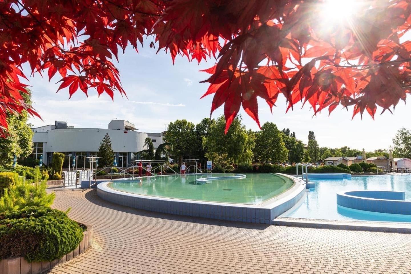 Dom Alex Pri Kupalisku Thermalpark Dunajská Streda Eksteriør bilde